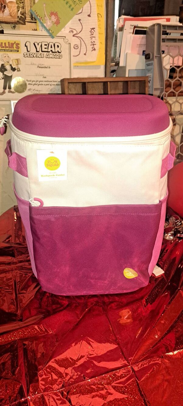 Sun Squad 24 Can Backpack Cooler Pink Insulated Beach Picnic NWT